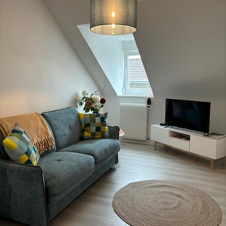 La Mulhousienne F3 Centre Ville Mulhouse Ngoại thất bức ảnh
