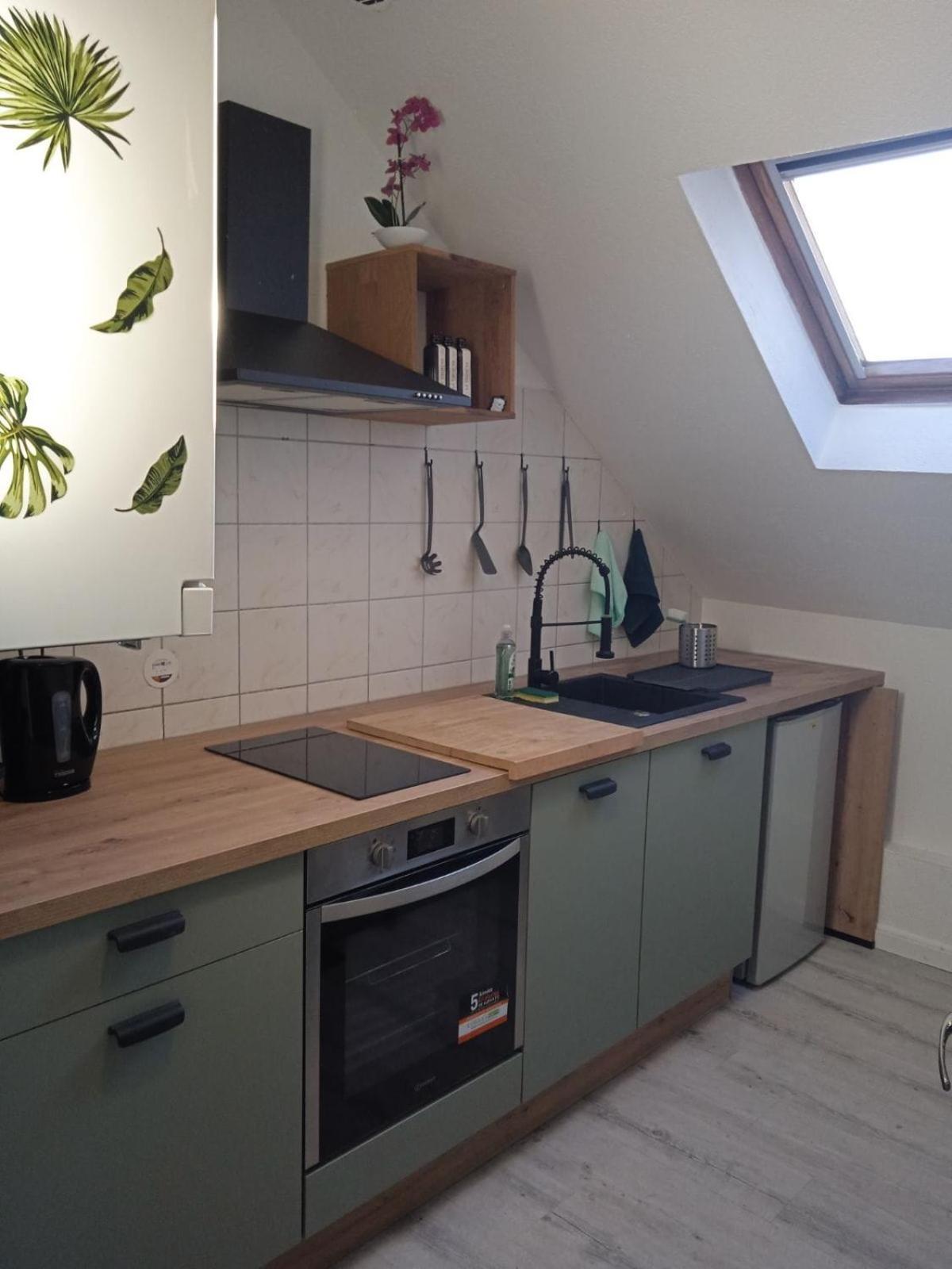 La Mulhousienne F3 Centre Ville Mulhouse Ngoại thất bức ảnh