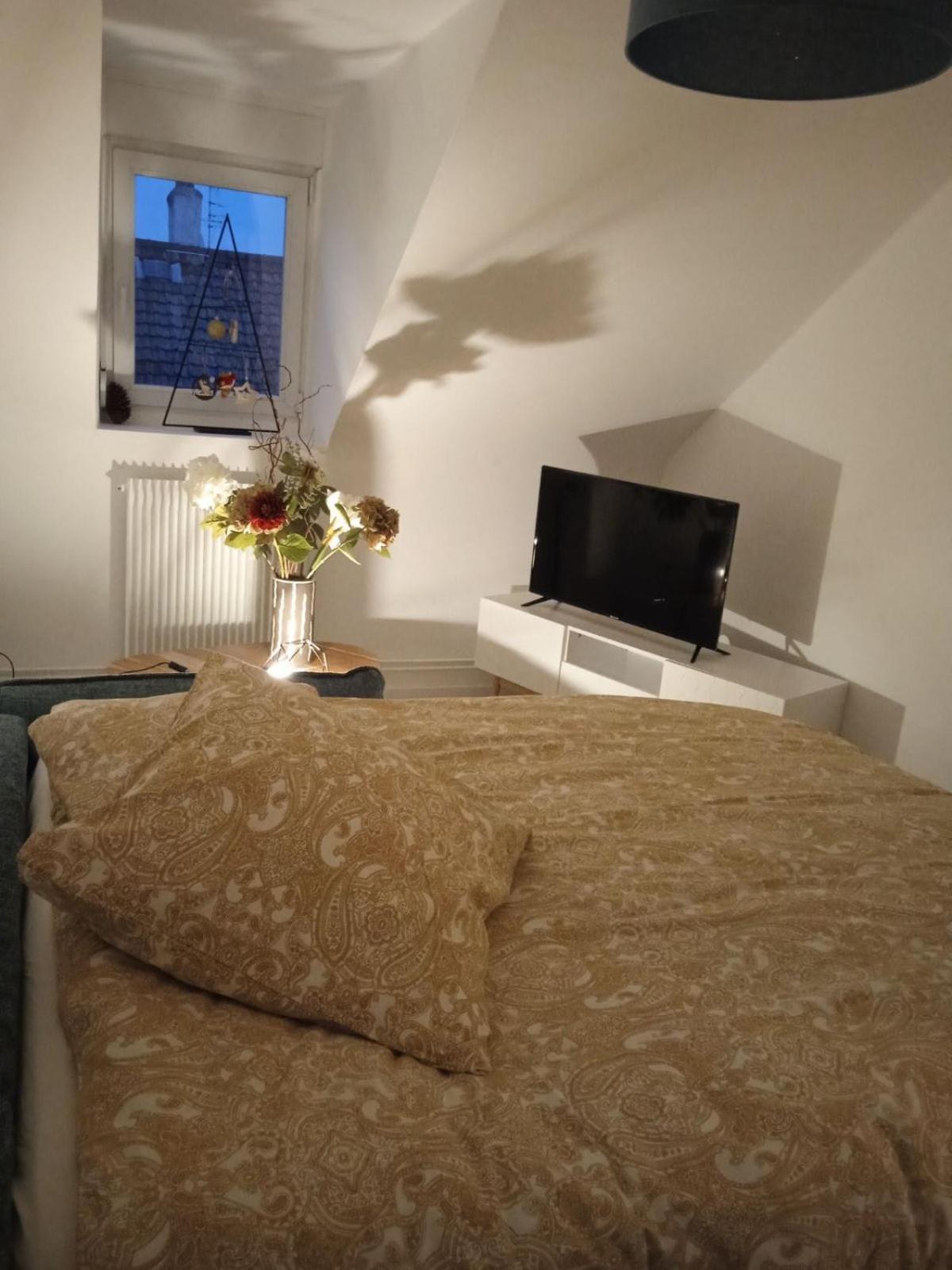 La Mulhousienne F3 Centre Ville Mulhouse Ngoại thất bức ảnh