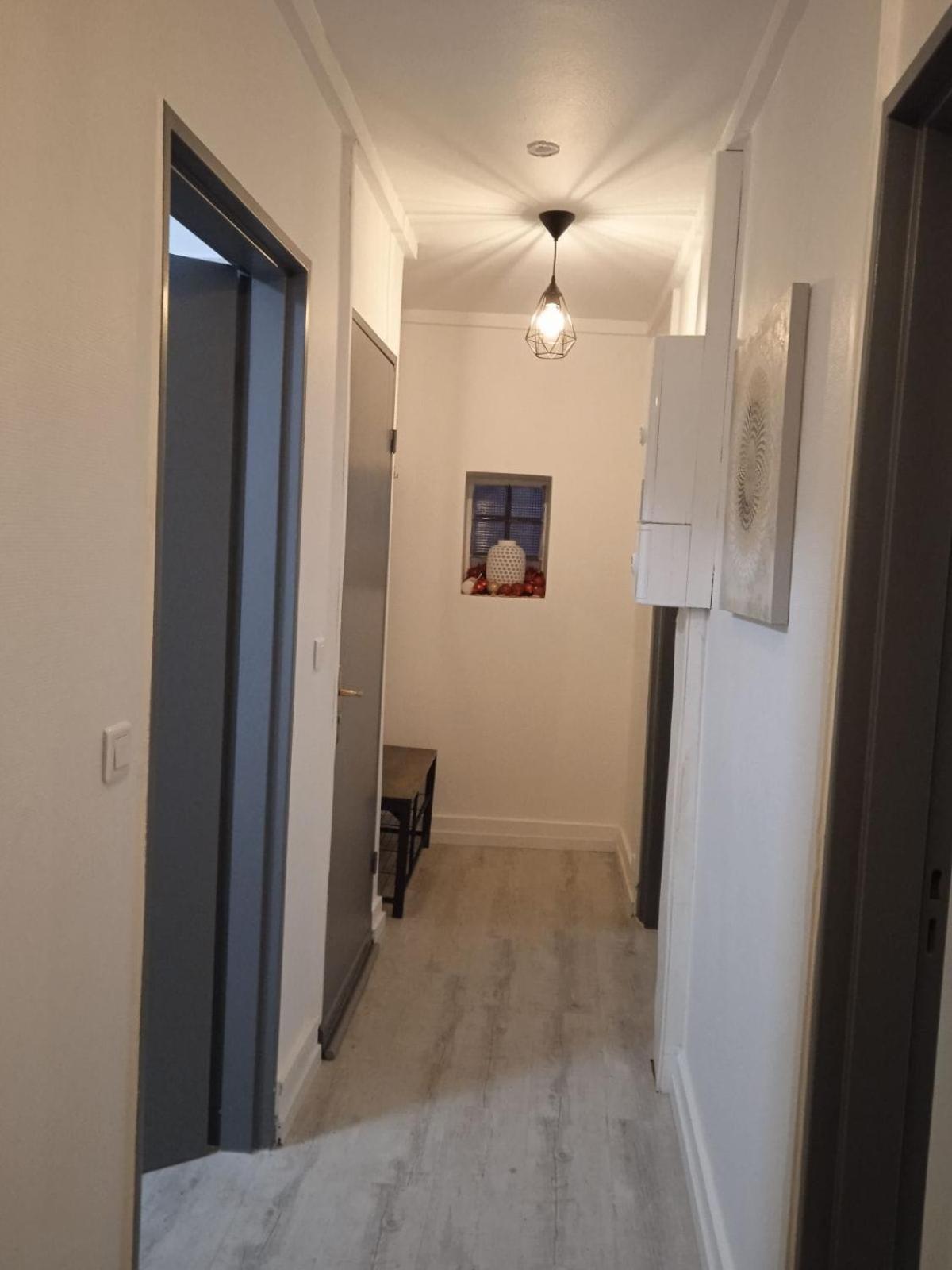 La Mulhousienne F3 Centre Ville Mulhouse Ngoại thất bức ảnh