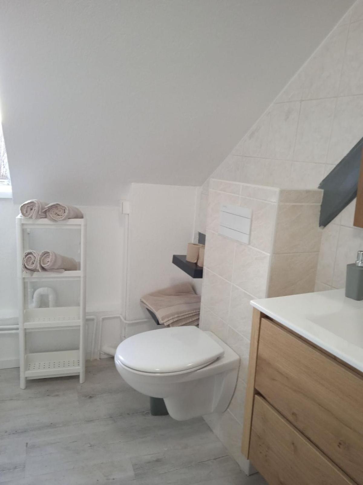 La Mulhousienne F3 Centre Ville Mulhouse Ngoại thất bức ảnh
