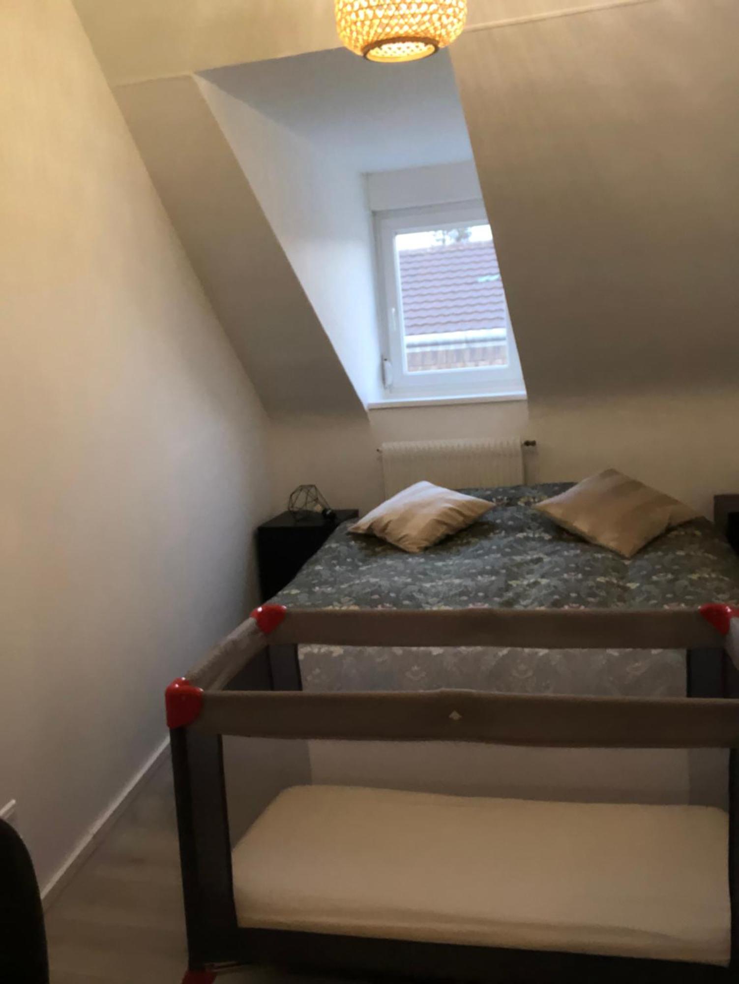 La Mulhousienne F3 Centre Ville Mulhouse Ngoại thất bức ảnh