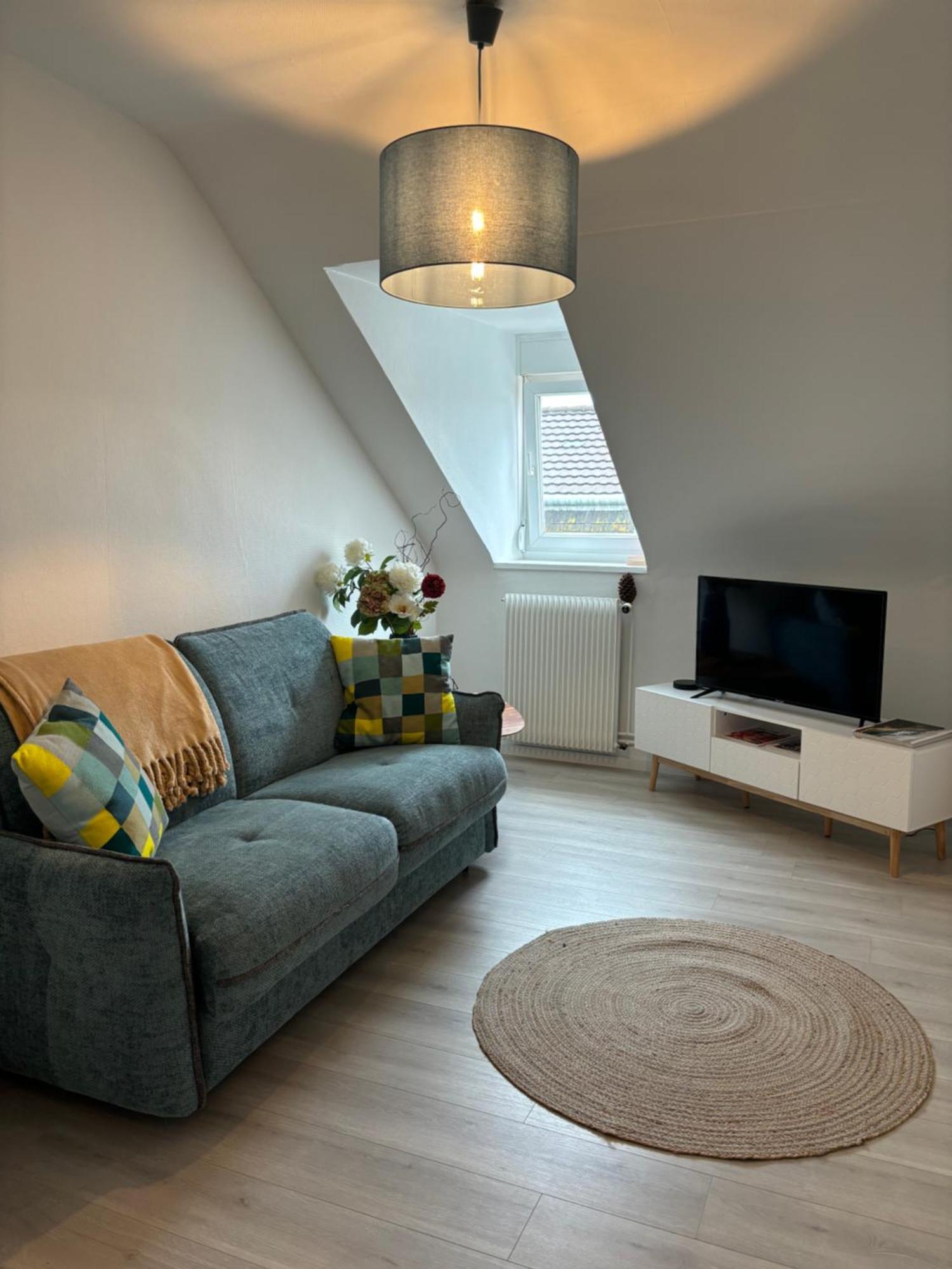 La Mulhousienne F3 Centre Ville Mulhouse Ngoại thất bức ảnh