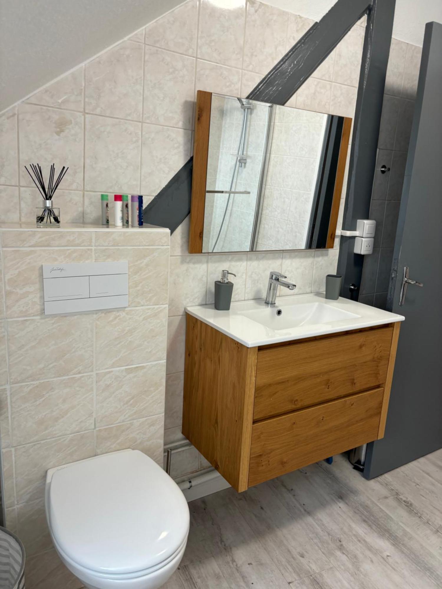 La Mulhousienne F3 Centre Ville Mulhouse Ngoại thất bức ảnh